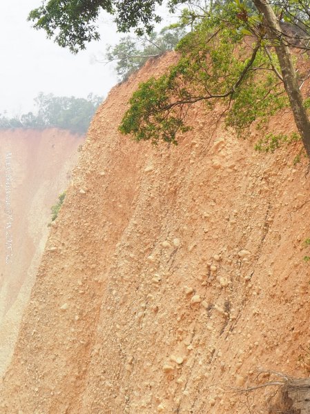 《苗栗》心靈之旅｜火炎山步道O繞南鞍古道201804212890666