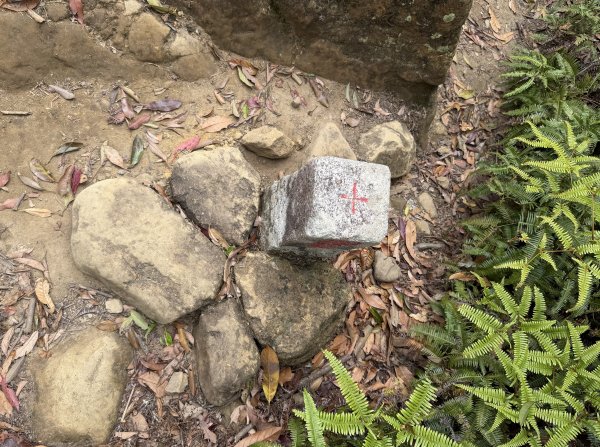 [微笑山線_第四段] 2026_0321 天上山系_石門內尖山3022060