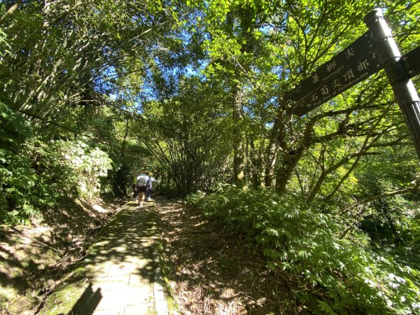 2025微笑山線大縱走尋寶集章任務-Ep.10【五分山系】菁桐煤礦段｜石筍尖 ×2914463