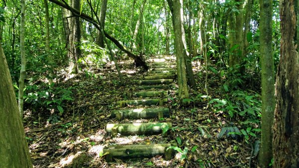 淡蘭古道中路,柑腳-十分1366970