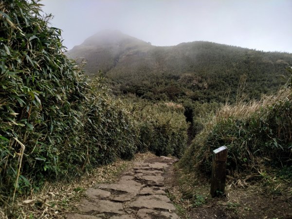 七星主峰、東峰812633