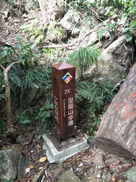 小百岳:里龍山&下里龍山1568870