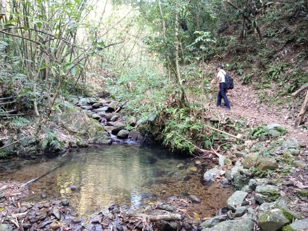 頭城鎮外澳車站+石空古道+太和山步道+蛇頭觀景台+象寮古道+烏山古道+外澳車站O型3018439