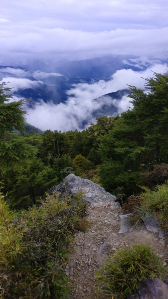 武陵四秀成兩袖(一秀加一宿)1142494