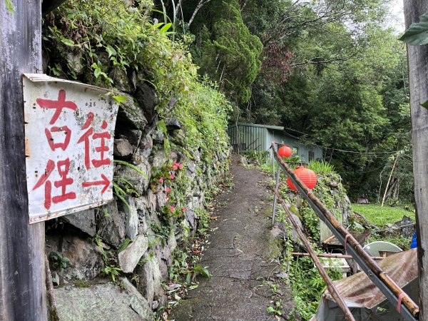 [皮皮獅探險隊-08/10] 2025_0719 李崠山步道2842964