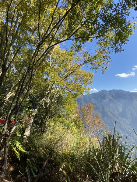 20191123 苗栗泰安虎山763432