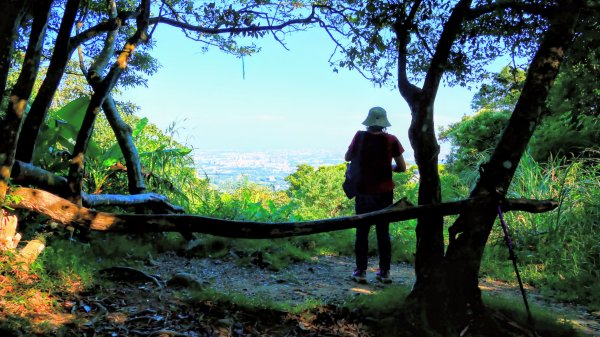 桃園石門山2916128
