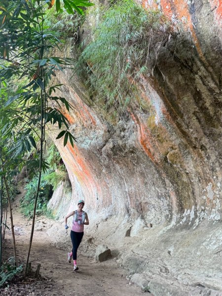 20250913_三峽鳶山爬山趣2882793