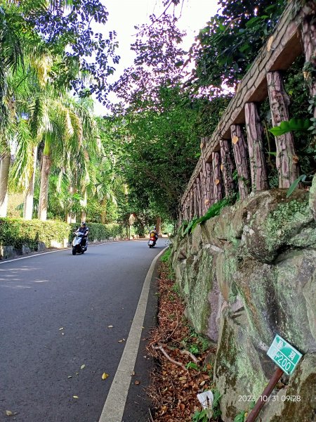 半嶺步道、松溪瀑布、橫嶺古道、湖山綠地【發現陽明山、走路趣尋寶】2332851