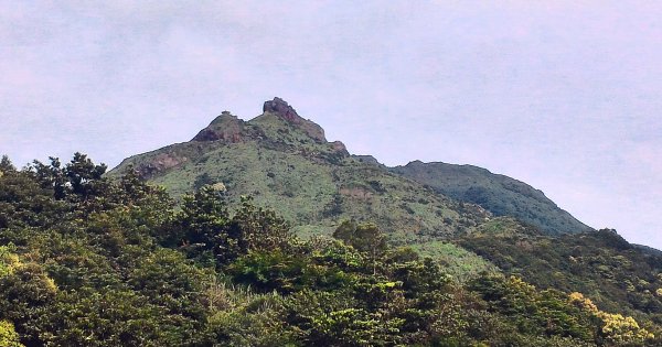 無耳茶壺山封面