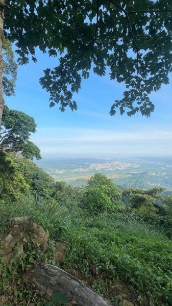 新竹橫山-大山背麒麟步道2628831