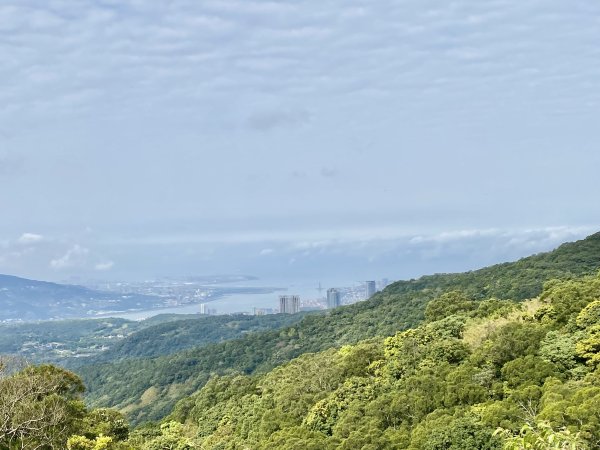 《中正山 × 紗帽山｜穿越北投古道與山林的一日縱走！》2934933