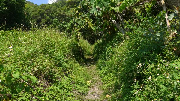 石空古道登山健行趣(淡蘭中路TK2-19)1521172