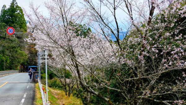 宮崎高千穗峽,愛情十字海3027819