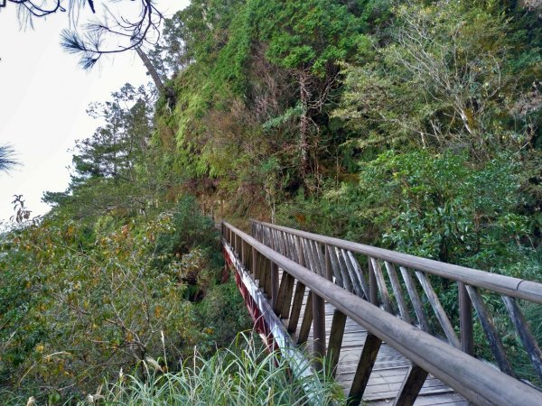 湖光山色－翠峰湖環山步道708031