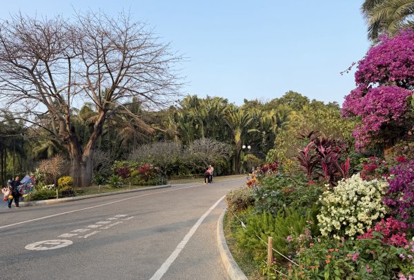 [茂名馬之行-12] 2026_0119 蓮花山公園2996922