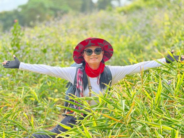 小百岳關刀山889m+銅鑼杭菊1924098