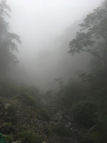 觀霧檜山巨木森林步道171755