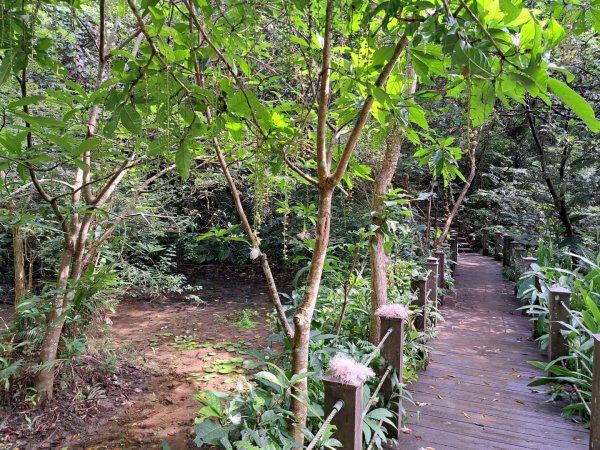 淡蘭南路第一段，第二段：捷運六張犁至烏塗溪步道3105046
