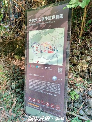 【台中北屯】大坑9-1x9號步道小O繞2945936