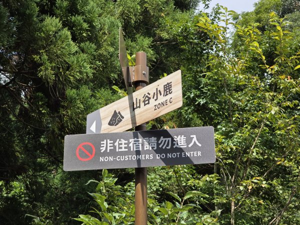 [皮皮獅探險隊-10/10] 2025_0816 白蘭溪古道2862929