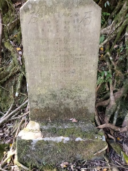 坪林區大舌湖漁光國小通學古道(保甲路古道)去回+大舌湖2844934