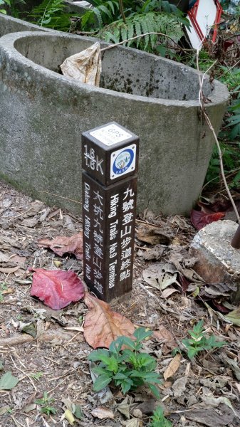 大坑9號9-1步道819543