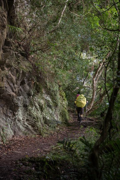 【花蓮】瓦拉米步道春遊823367