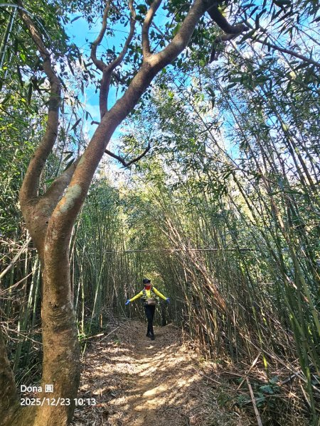20251223芎林文林古道O走+雞寮坑山+芎林顯伯公野餐2975936