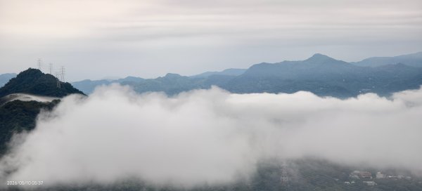 #觀音山 #林梢步道 #雲瀑 #佛陀世界 #石門水庫 5/103051081