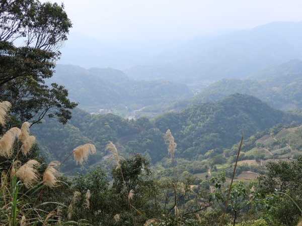 開眼崙步道，坪林老街2483050