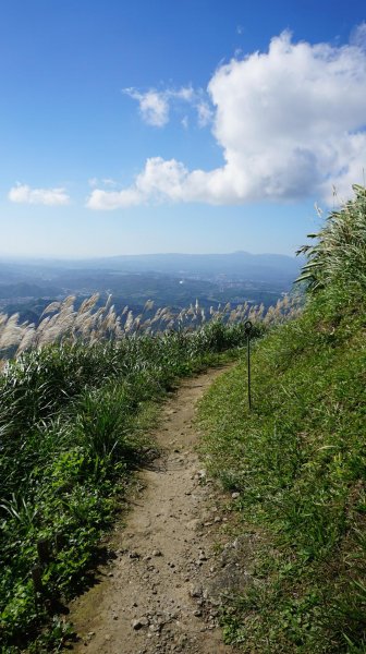 基隆山步道472442