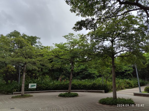 大安森林公園、大稻埕、大港墘公園【走路趣尋寶】【臺北健走趣】2598312