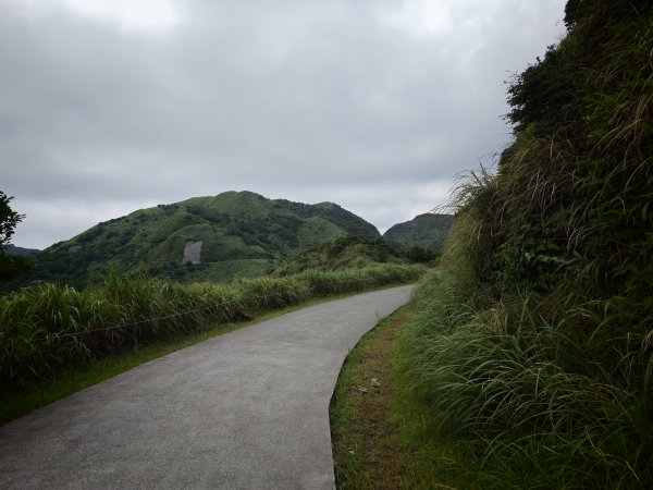 [淡蘭古道] 2026_0531 北路第一段_燦光寮古道(上)-草山戰備道3070675