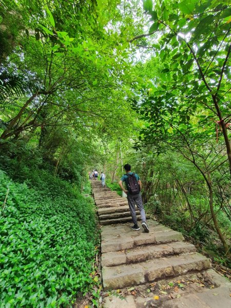 福隆山+硬漢嶺~雙步道連走956825