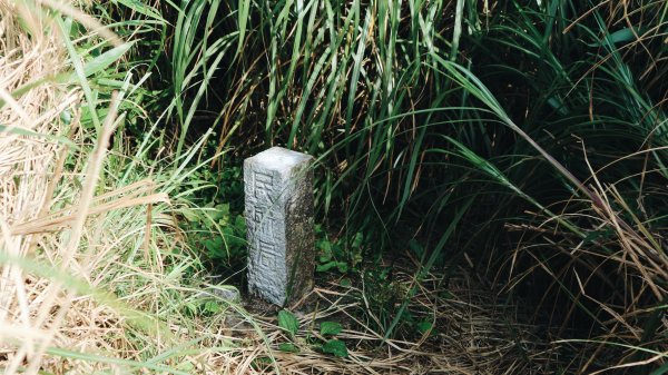 大屯山O型|一起來走陽明山縱走西段1005008