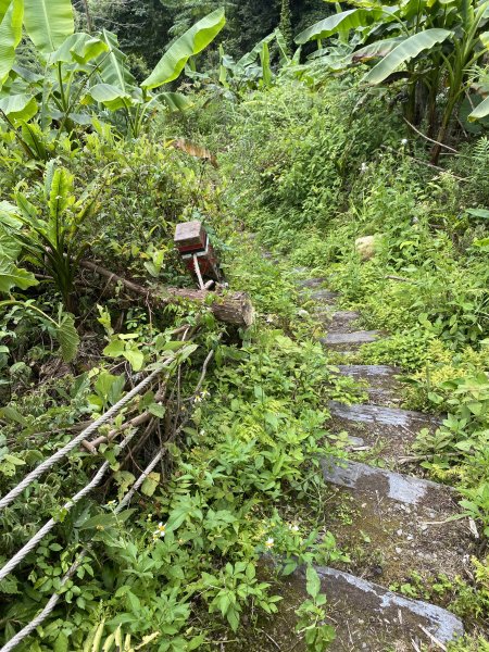 20250705-Ep.02白蘭溪古道-2025森遊竹縣皮皮獅探險隊2851386