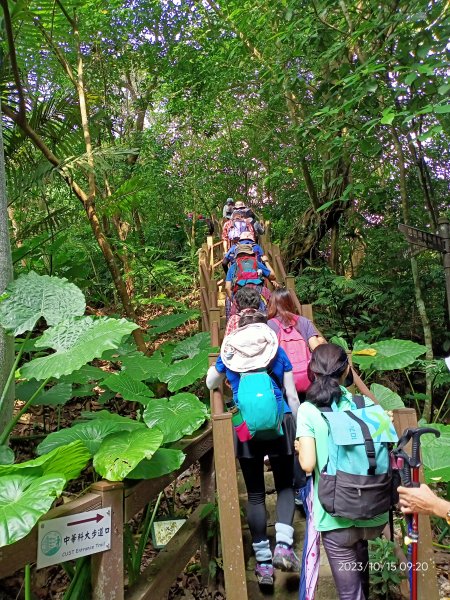 捷運麟光站→富陽生態公園→福州山→中埔山及其東峰→軍功山→世界山莊→忠正嶺→土地公嶺步道→糶米古道2315966