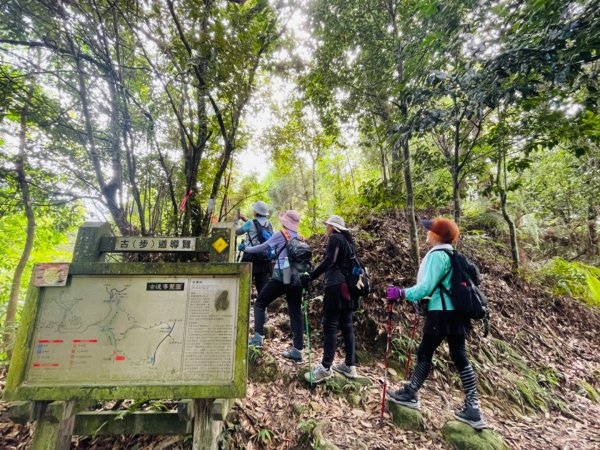 1140618鳴鳳古道｜錫隘-雲洞宮2815365