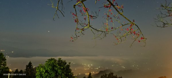 大湖薑蔴園星空/月亮&雲海/流瀑2410652