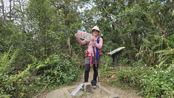 2025貓空杏花林杏花大爆發，粉紅、深紅及白色杏花爭奇鬥艷，從公車站步行20分鐘即抵達2720176