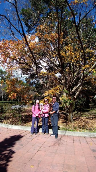 1081215陽明山主，東峰O型走走散步776220