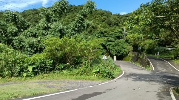雙溪區竹子山-南勢坑山去回3077203