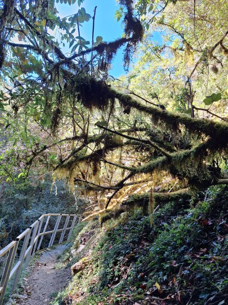 石山引水道202512112959573