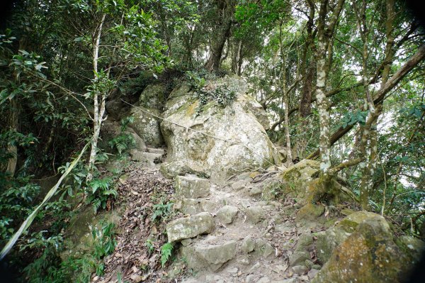 苗栗 獅潭 仙山、大窩山2984270