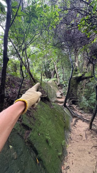 大雨後🙄2845406