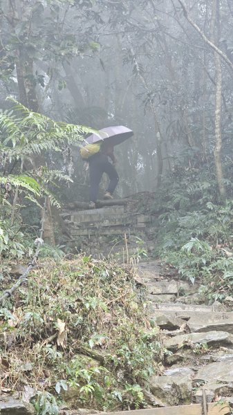 【撤退是智慧而非勇氣】17訪魔王小百岳-尾寮山。2995112