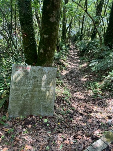 20250502 安坑七山2775108