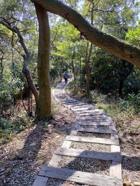 虎頭山-虎嶺迎風步道775388