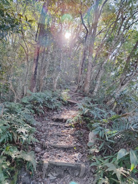 泰安鳥嘴山（上島）2689331